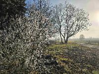 Vánoce v Lesním divadle Křenovice